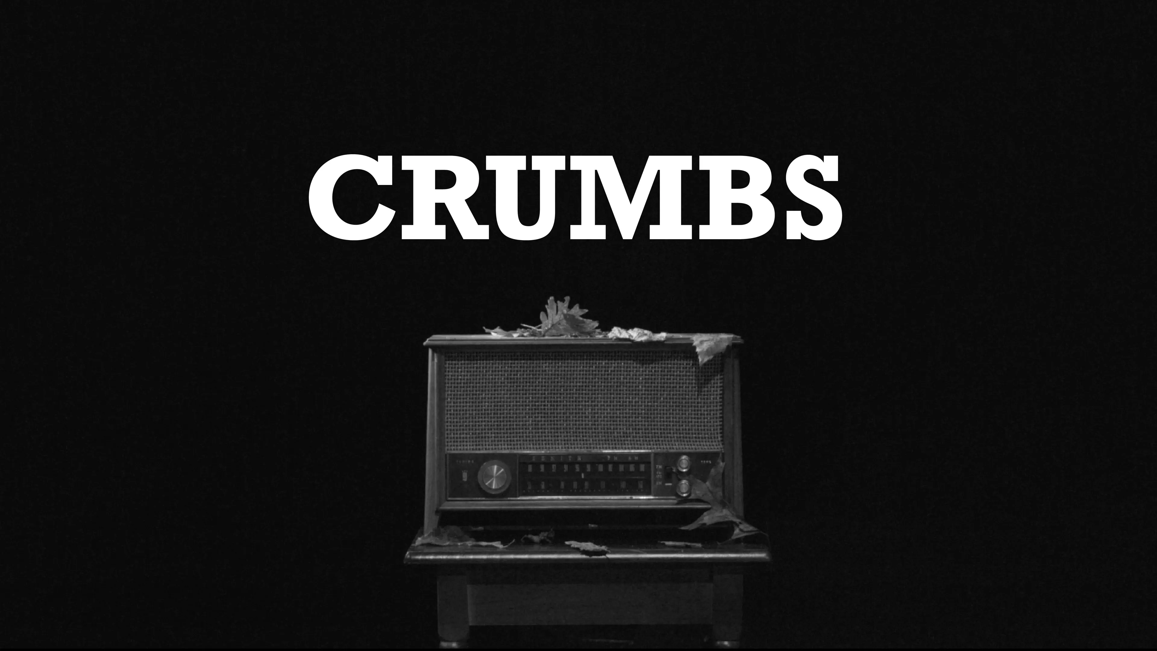 Crumbs poster